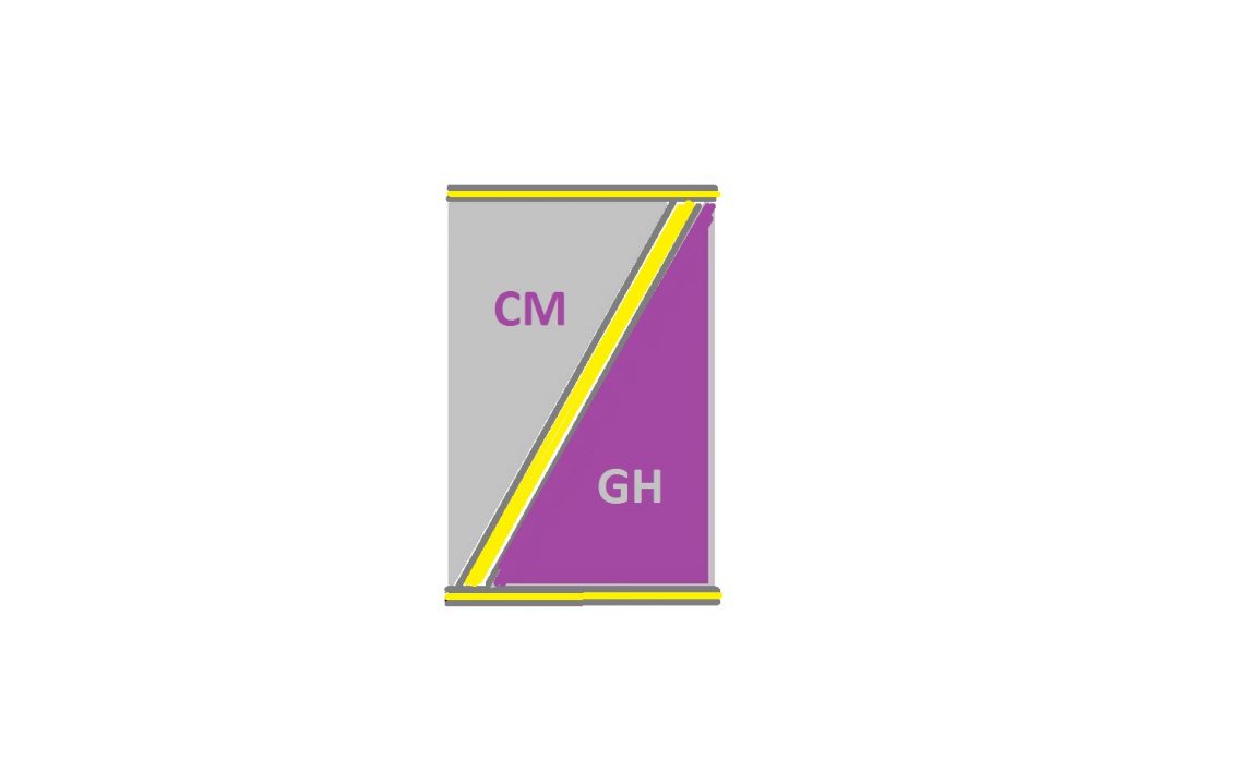 Praxislogo-mit-GH.jpg
